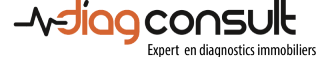 logo-diagconsult_ Swane intercultura